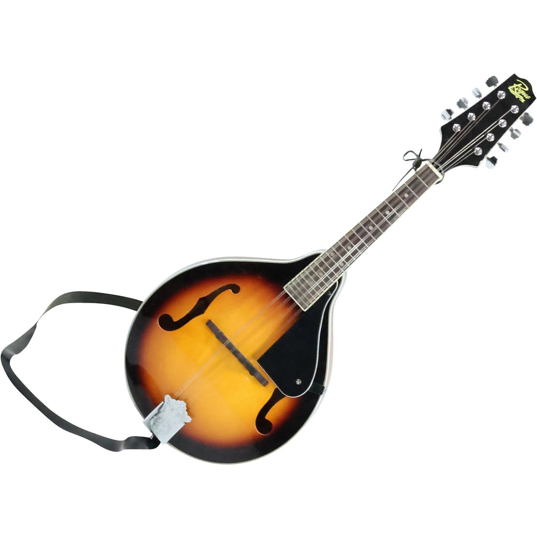 Rogue Mandolin Instrument with Case (1 of 20)