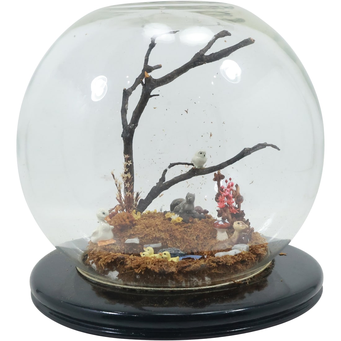 Animals Exhibit in Nature Setting Diorama Under a Glass Dome 9.5 in. height x 9 in. wide: Animals Exhibit in Nature Setting Diorama Under a Glass Dome 9.5 in. height x 9 in. wide. size: 9.5x9