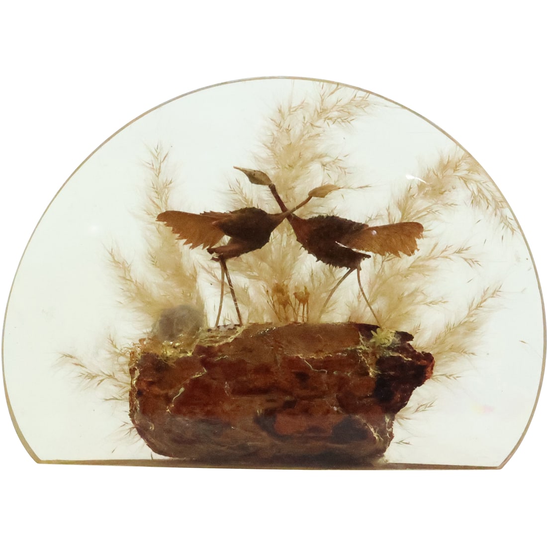 Mid-Century Modern Lucite Sculpture with Internal Dried Flowers and Pheasant Birds: Mid-Century Modern Lucite Sculpture with Internal Dried Flowers and Pheasant Birds. size: 5.25 in. x 7.5 in. x 1.5 in.
