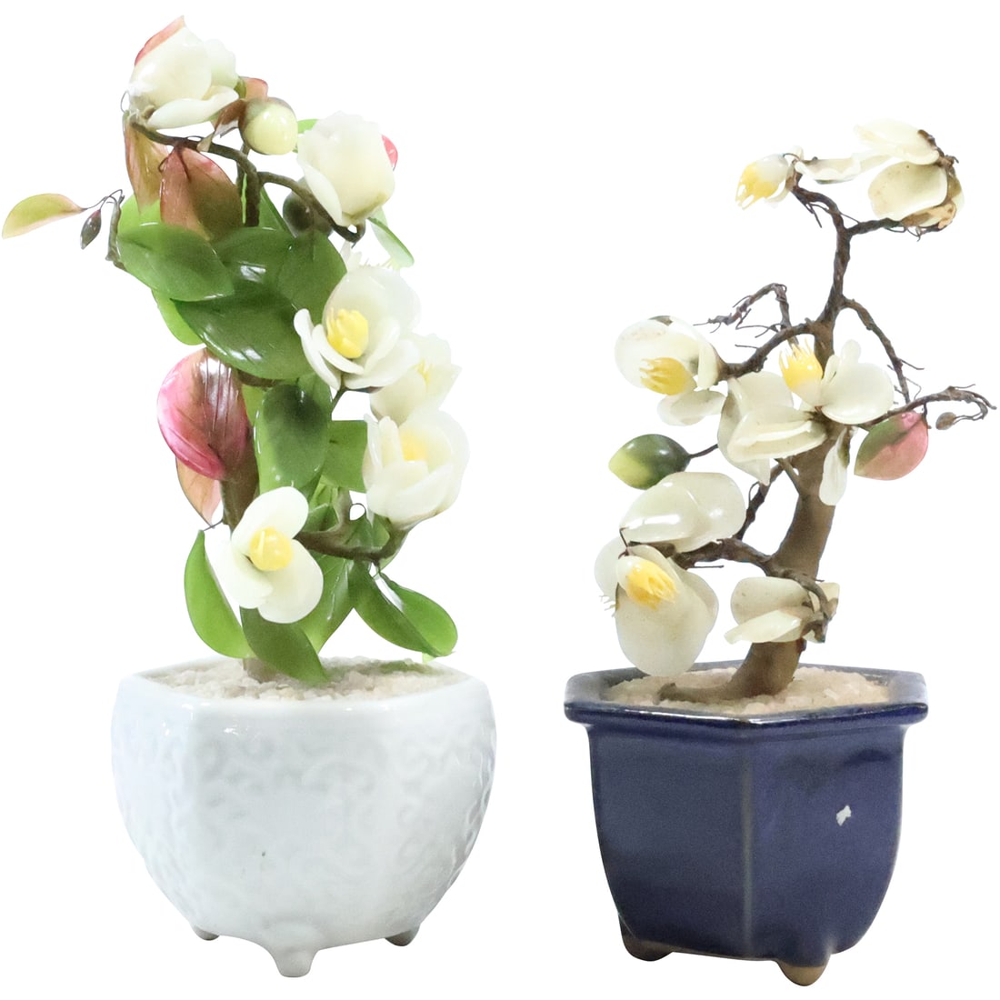 [2] Jade Leaf Plants in Ceramic Pots 7.5 in. height and 8.25 in. height (1 of 20)