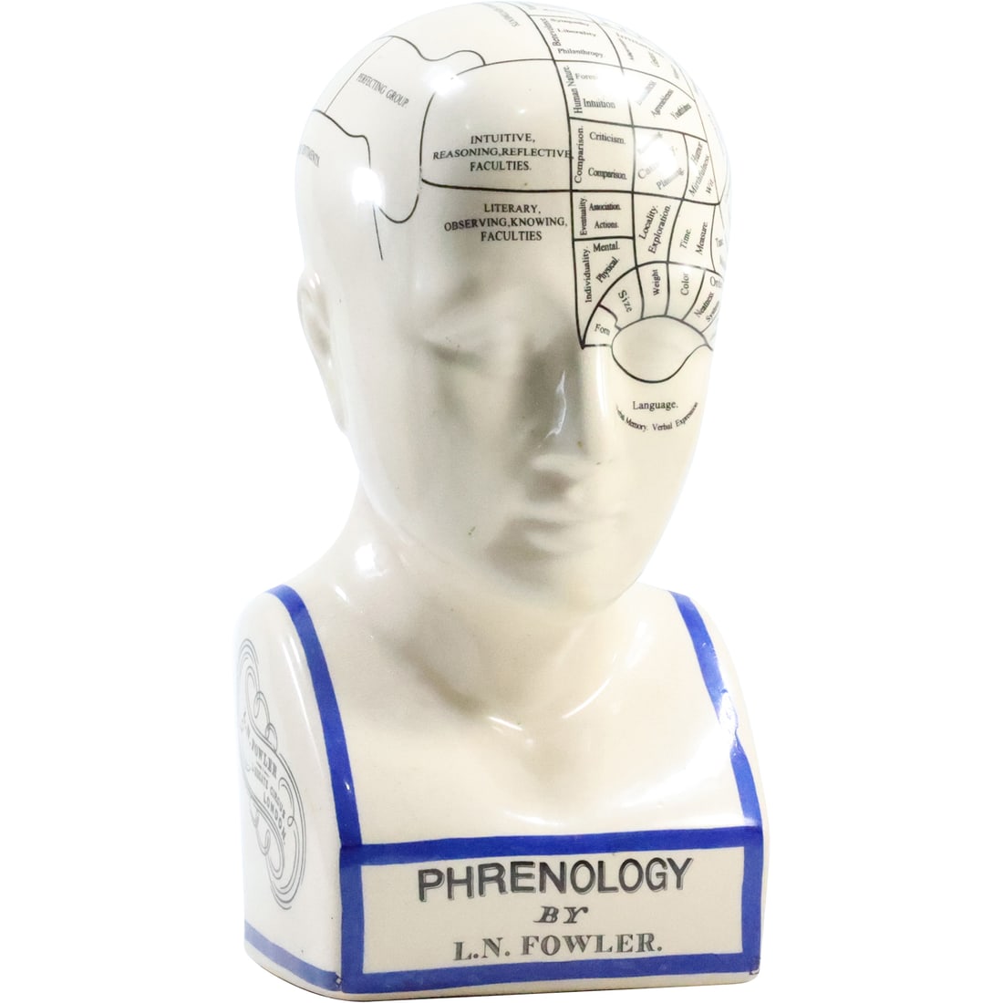 Phrenology by L. N. Fowler London, Novelty Ceramic Head Statue 12 inches height (1 of 20)