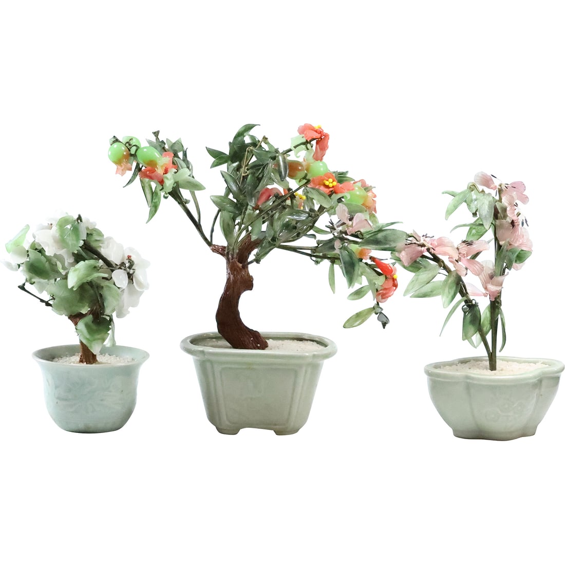 3 Assorted Chinese Jade Plants in Celadon Pots - Various Sizes (1 of 20)