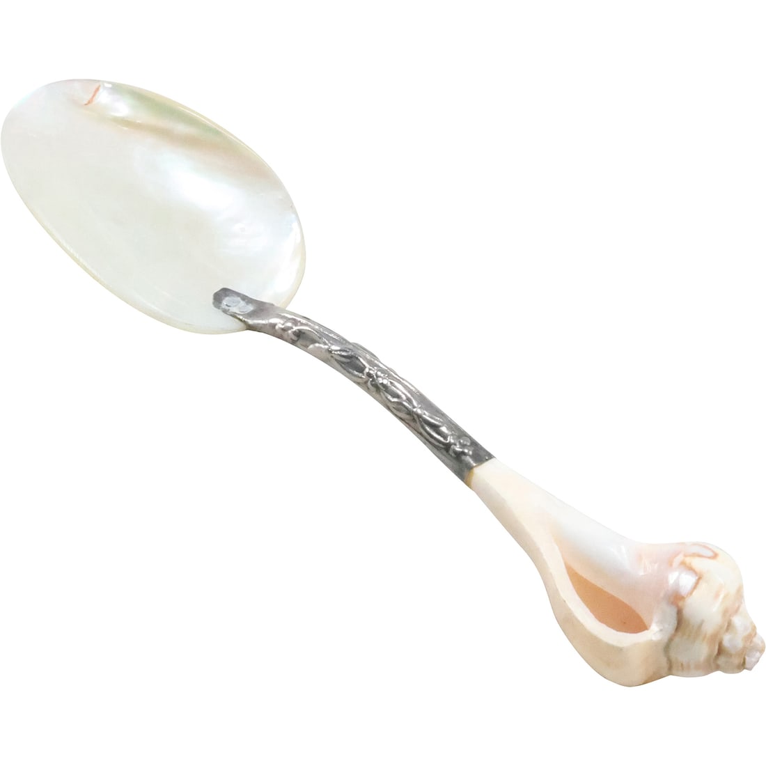 Unique Mother-of-Pearl Spoon with Seashell Handle , 6 in. x 1 1/2 in.: Unique Mother-of-Pearl Spoon with Seashell Handle , 6 in. x 1 1/2 in.
