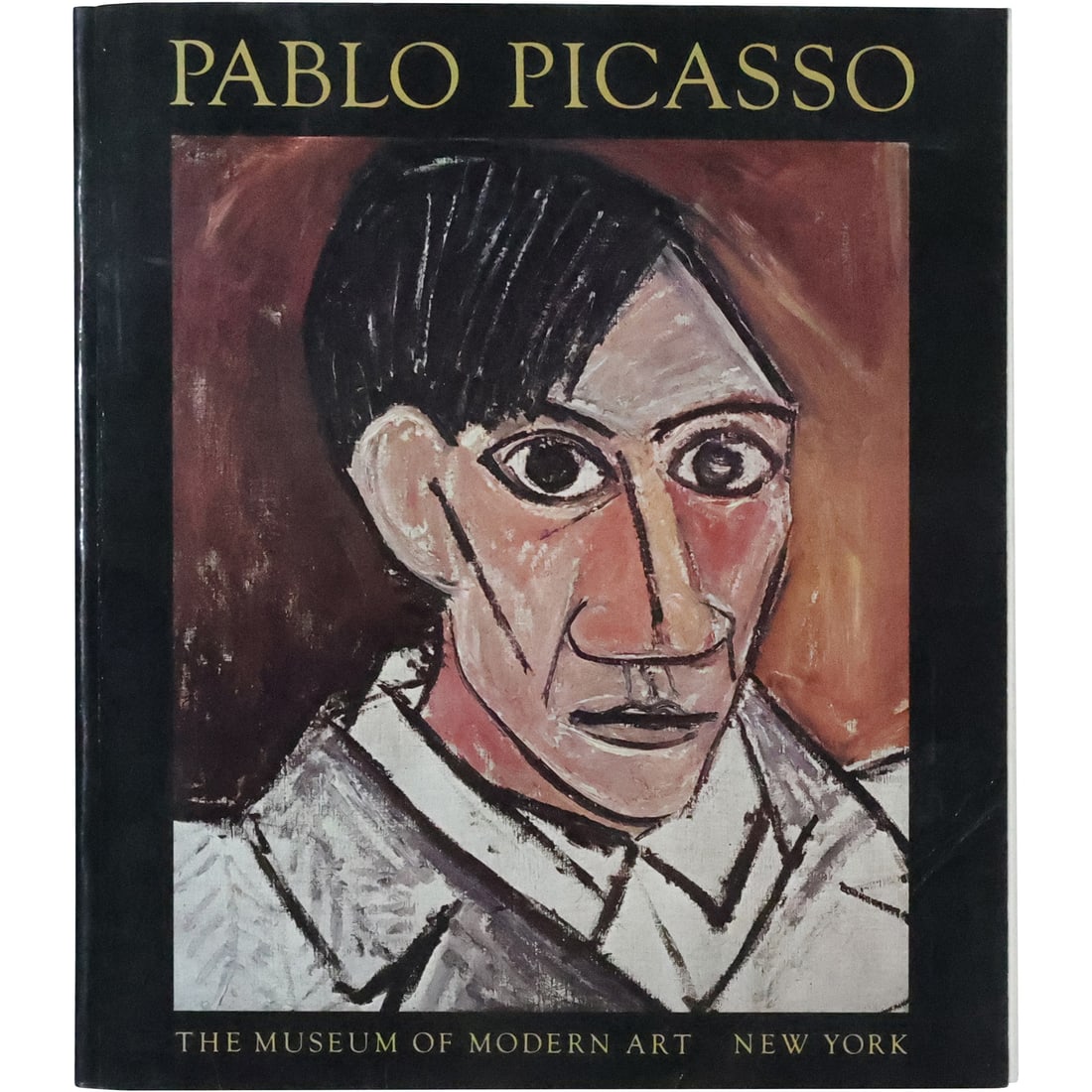 Book: Pablo Picasso, Fully Illustrated (1 of 20)