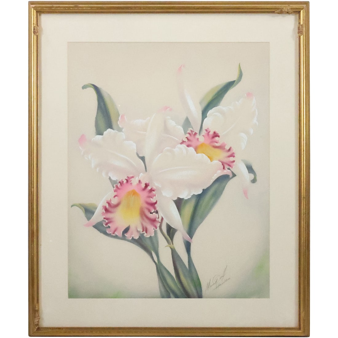 Ted Mundorff, Hawaii,  Botanical Flower Study, Airbrush Artwork, Signed Framed (1 of 20)