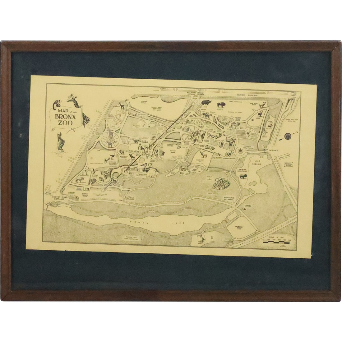 Vintage Framed Map of The Bronx Zoo (1 of 20)