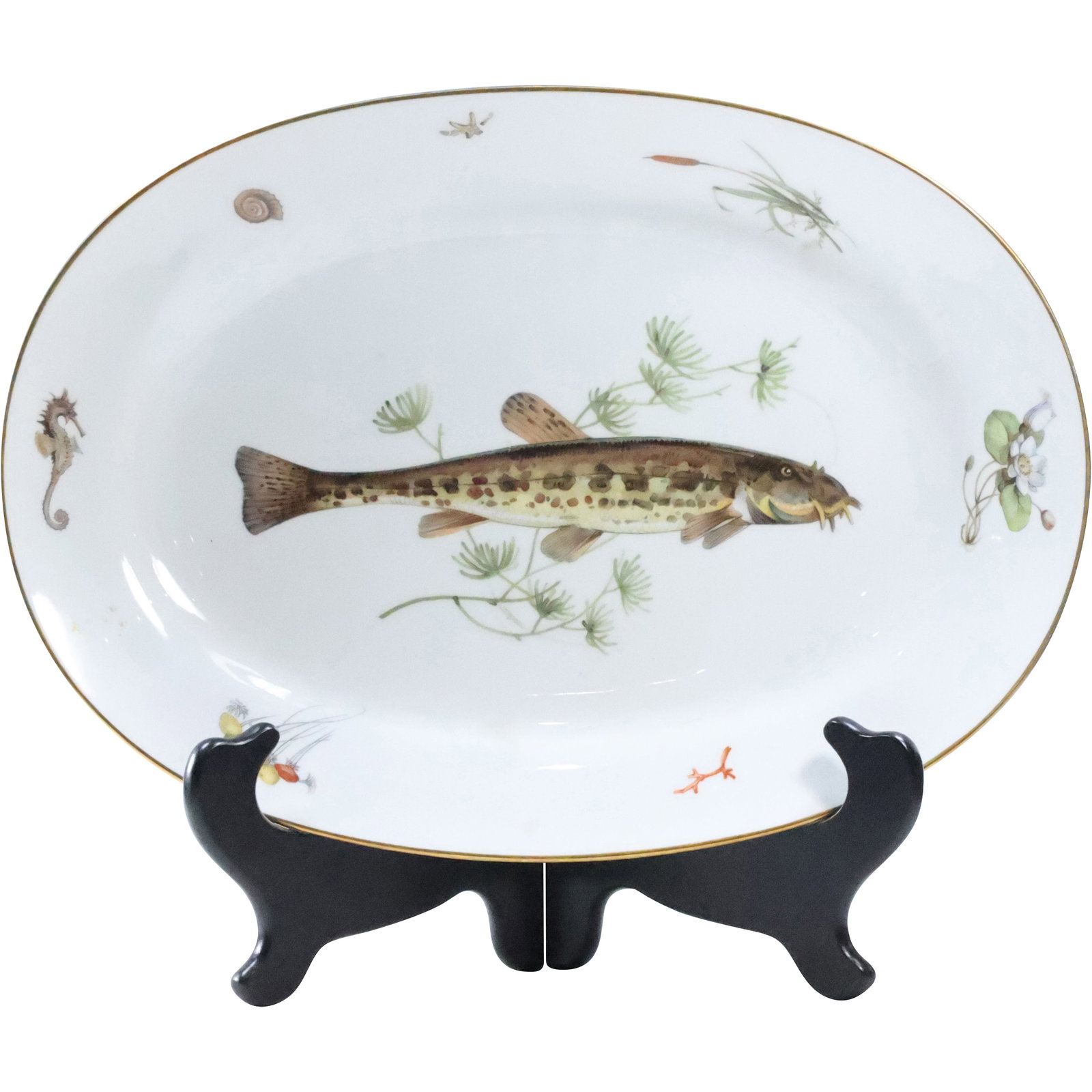 Richard Ginori Italy Fine Porcelain Fish Platter 15.5 inches x 11 inches (1 of 12)