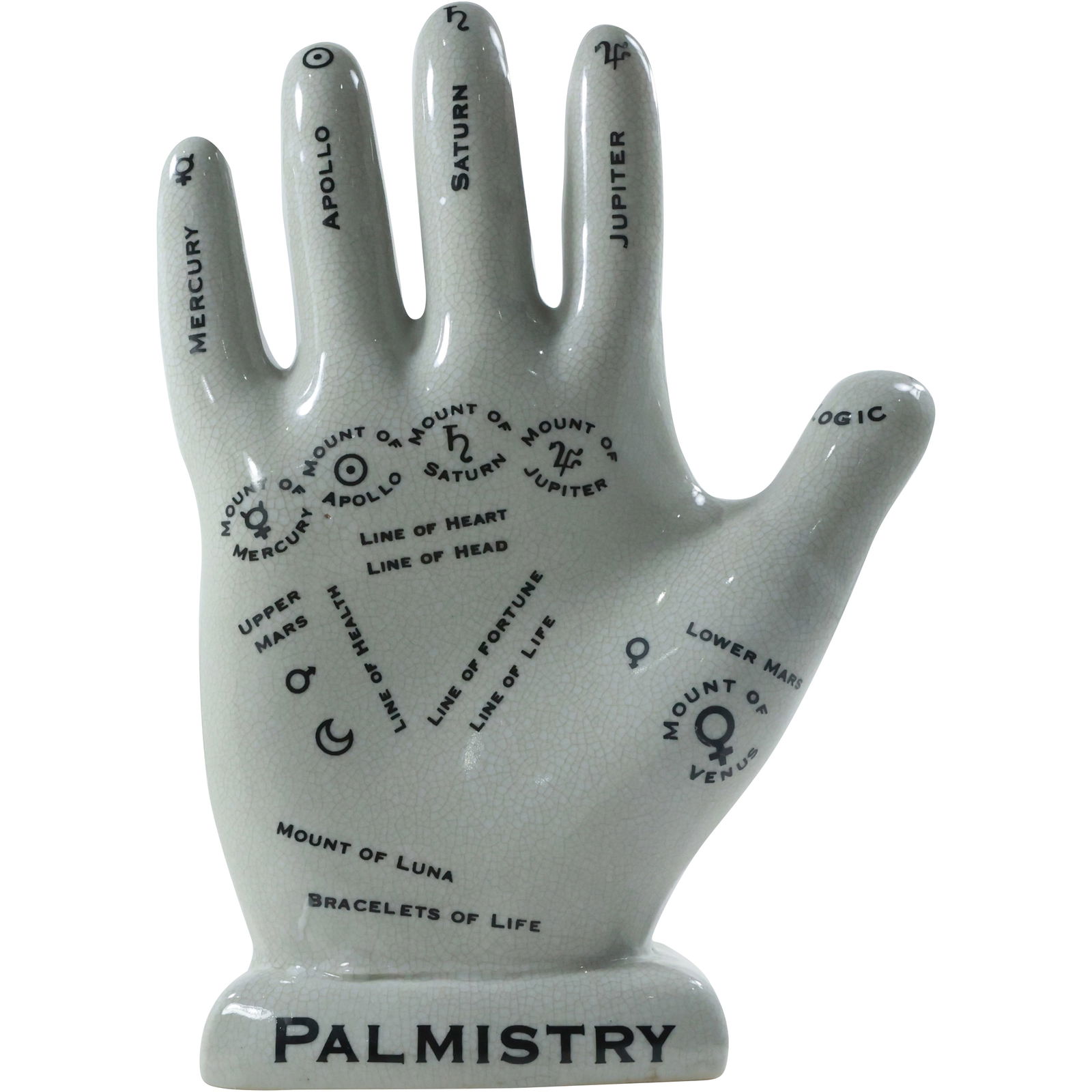 Phrenology Palmistry Porcelain Hand Palm Reading Statue 12.25in. height x 9 in. wide (1 of 16)