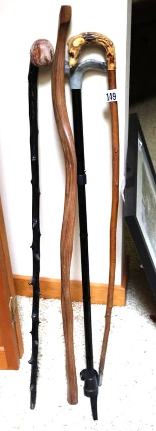 Groping of Assorted Walking Canes including Carved Dog Head Handle (1 of 8)