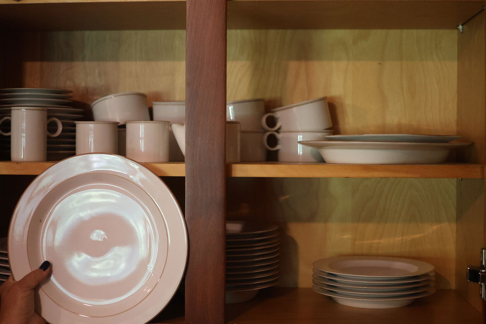 Contents of Kitchen Cabinet: Mesa Dinnerware, Etc. SEE PICTURES: Contents of Kitchen Cabinet: Mesa Dinnerware, Etc. SEE PICTURES **Important Pick-Up Information: Lots 1-100 are located at our Auction Gallery at 174 Glasco Turnpike, Saugerties, NY 12477. Pick-up for