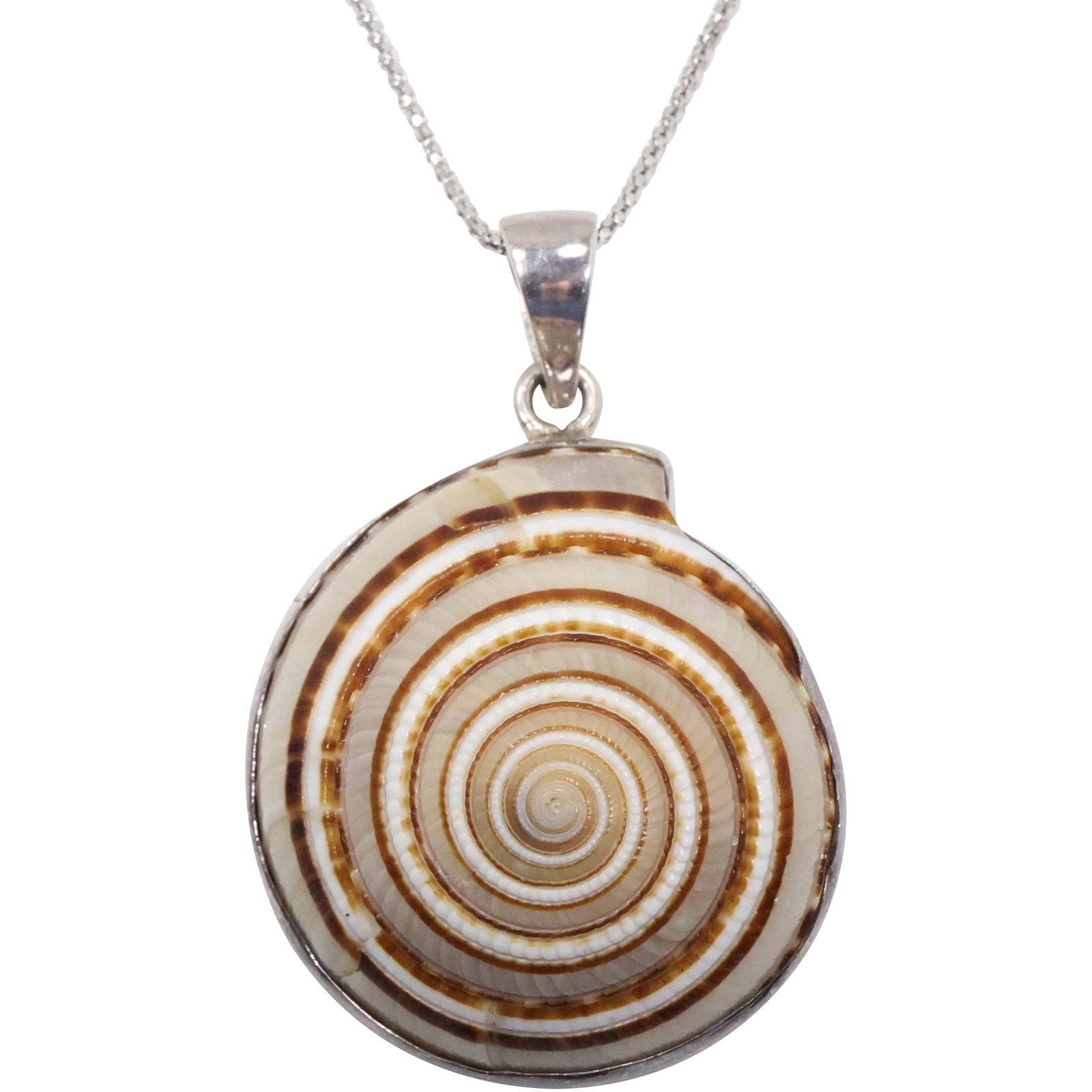 Charles Albert Pure Sterling Silver Sundial Shell Pendant Necklace on .925 Sterling 20 in. Chain (1 of 13)