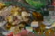 item-198032964=10
