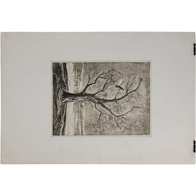Unsigned Lithograph from Estate of Peter Passuntino [b.1936 Illinois / France] Bird in a Tree