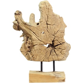 Organic Root Burlwood Sculpture mounted on a Display Stand 26 in. height x 19 inches wide