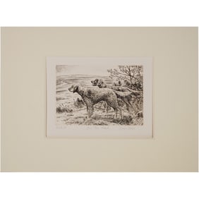 Simon Bull "On The Heath" Signed & Numbered Etching - 46/250