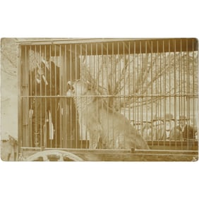 RPPC Cirus Lion in Cage Wagon & Trainer - Photograph by C.M. Schooley - Early 1900s Postcard