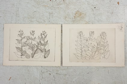 Peter Passuntino, Unsigned from Estate of The Artist, 3 Lithographs Cat in Leaves