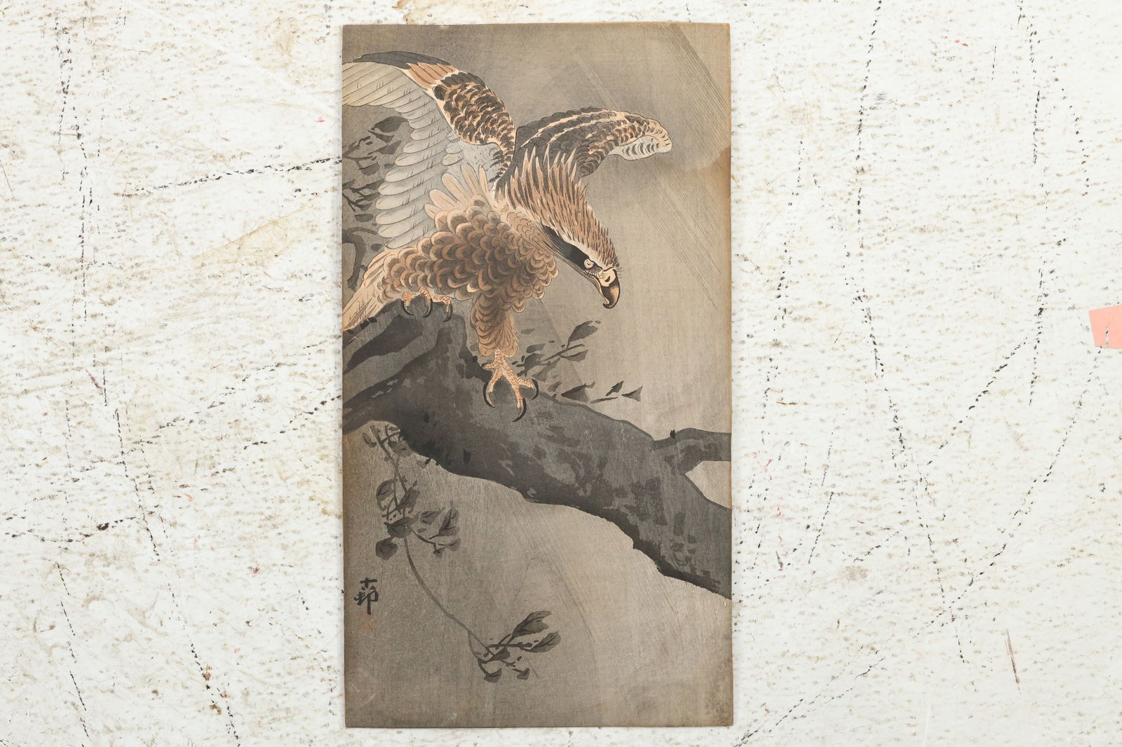 Japanese woodblock print titled "Eagle with Spread Wings on Tree Trunk" by Ohara Koson, circa 1910 (1 of 13)