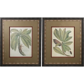 2 Framed Botanical Prints, Identified as "John Richard Palm " Luxury Decor Company, Label on Verso