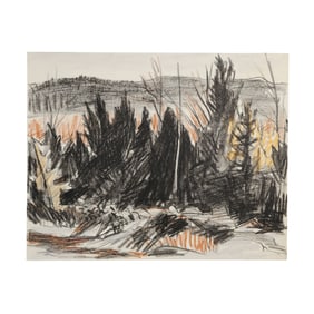 Robert Angeloch, Unsigned, Woodland Landscape, Crayon Drawing on Paper