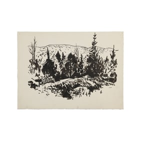 Robert Angeloch, Unsigned Ink Drawing on Paper, Forest Landscape