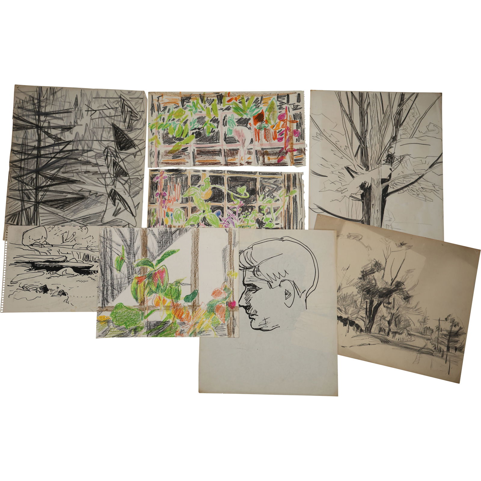 Robert Angeloch, 8 Assorted Ink Drawings, Mixed Media on Paper Unsigned, Landscapes, Botanical (1 of 10)