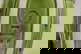 item-208345823=2