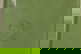 item-208345823=3