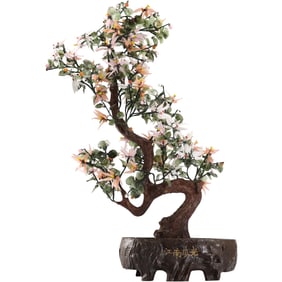 Chinese Jade Tall Bonsai Tree in Pot 25.75 inches height x 11 in. wide