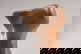 item-208609235=11