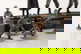item-208624392=12