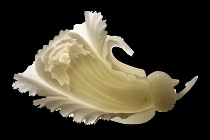 Jadeite Cabbage, a sculpture carved from a single piece of jadeite 6.5 in. height x 10 in. length