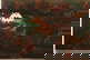 item-210387877=10