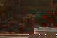 item-210387877=2