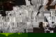 item-210431713=11