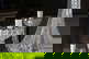 item-210431713=13