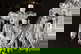 item-210431713=9