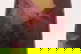 item-210458569=13