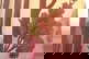 item-210458569=18