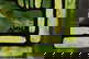 item-210458583=2