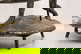 item-210515252=11