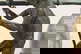 item-210515252=6