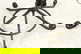 item-210576504=8