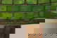 item-210603699=3