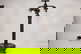 item-210880174=15