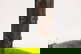 item-210880174=19