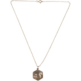 14K Gold P.K. Leo Diamond Pendant 2.3 dwt, 1 in. x 3/4 in. on a 12K GF 16 inch Chain