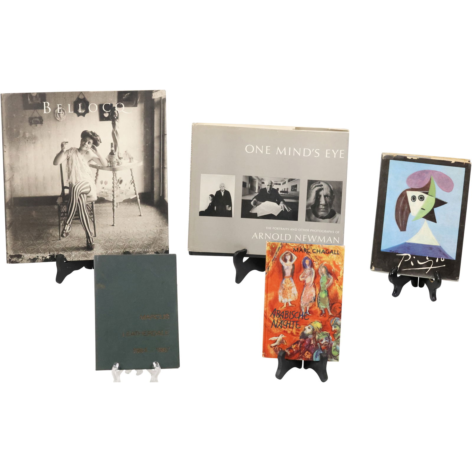 4 Assorted Art Books: Picasso, Chagall, Arnold Newman, Belloco (1 of 16)