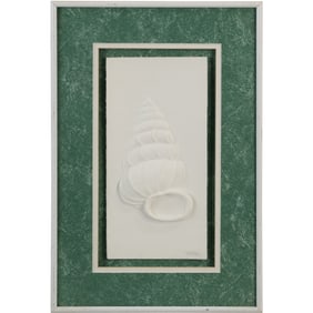 Signed Nathan, White, Textured Framed Relief Sculpture of a Wentletrap Seashell