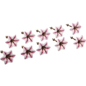 Set 10 Matching Porcelain Flowers Curtain Tie Backs